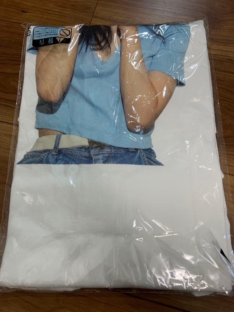 アイナジエンド　非売品　ロンT 帰巣本能