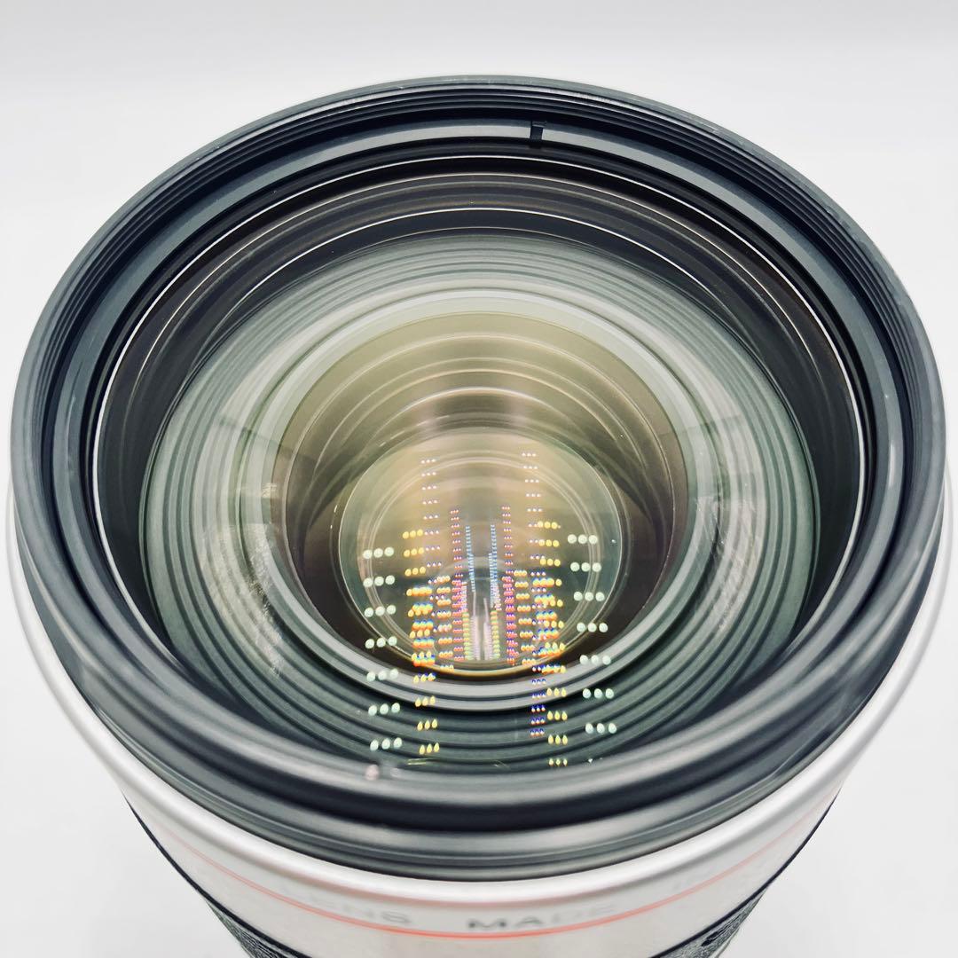 レンズ(ズーム) Canon EF 35-350mm F3.5-5.6 L USM