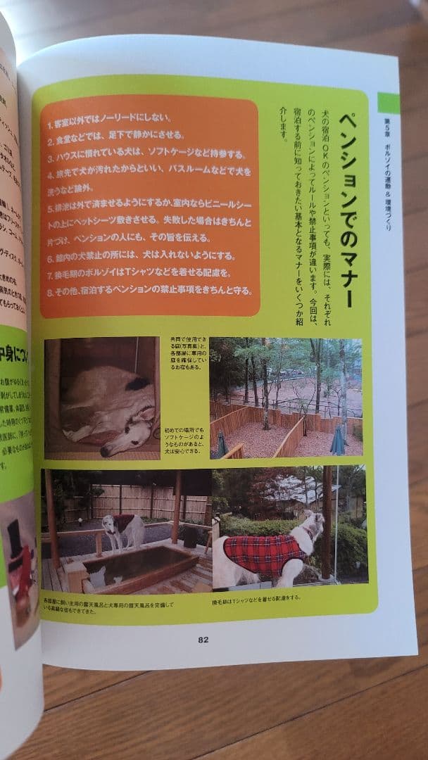 【絶版】200p越！ボルゾイの事典(大関京子著)ハウンド狩猟犬好きへ