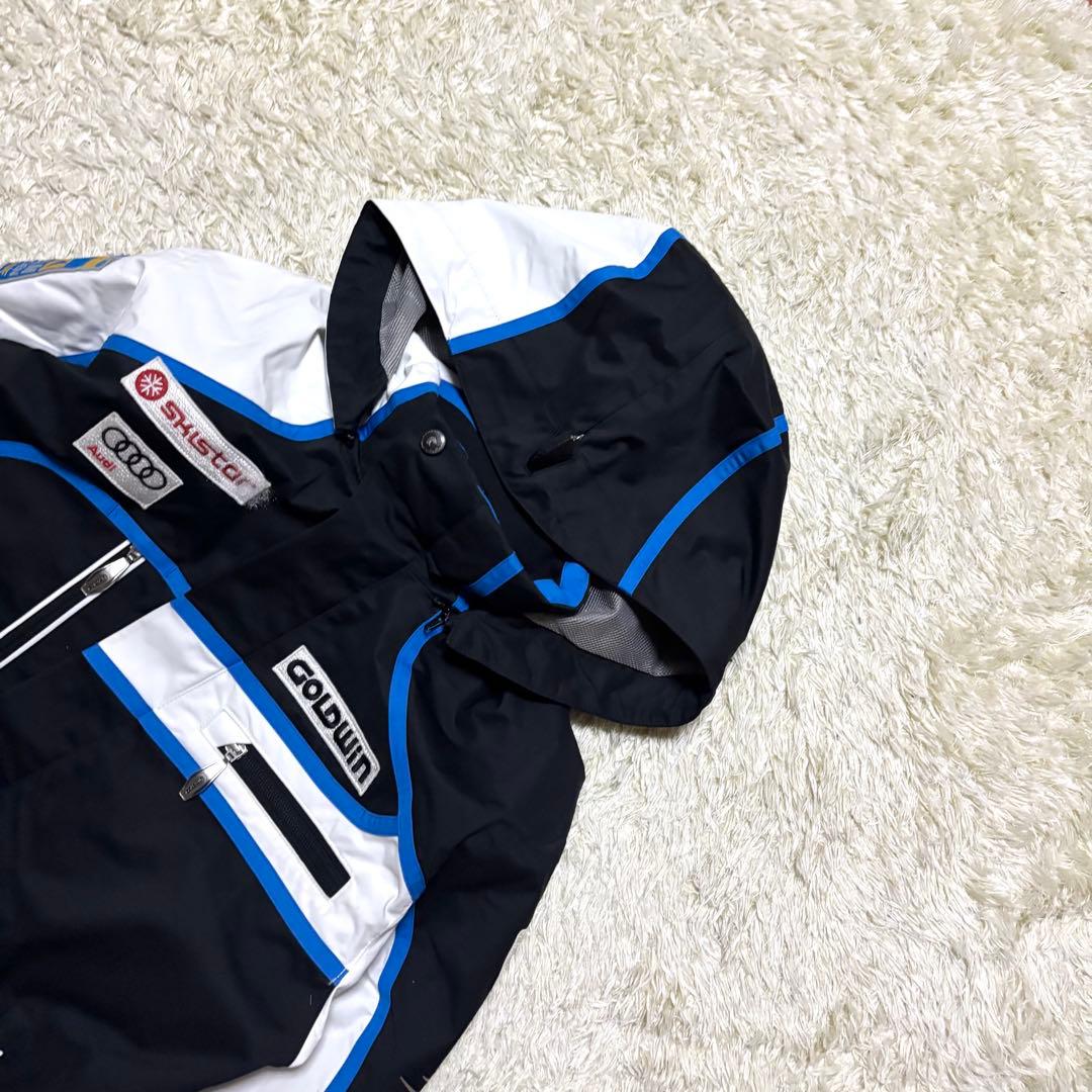 ゴールドウィン スウェーデン代表 最上位モデル サイドオープン スキー