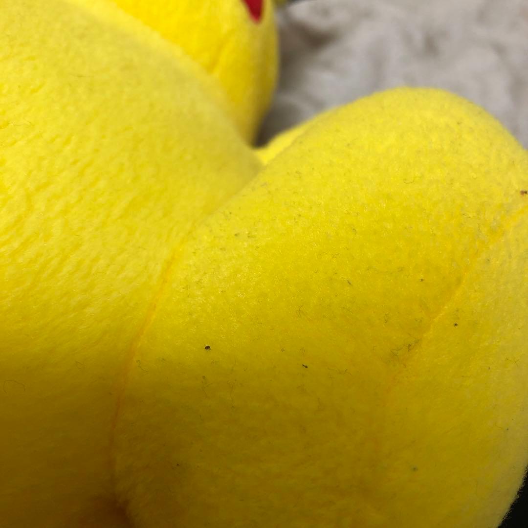 ポケモンセンター 愛知万博ポケパーク　ポケモンドール　ピカチュウ ぬいぐるみ