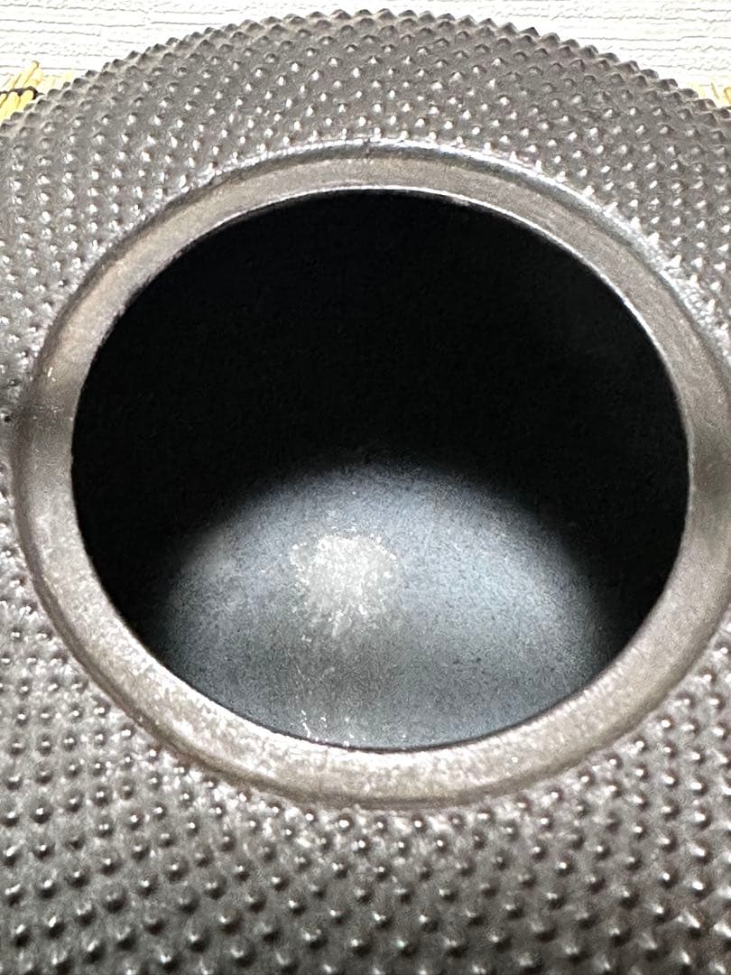 新品、供箱等付属品付 南部藤枝工房 藤枝 昌行作12型アラレ 南部鉄瓶