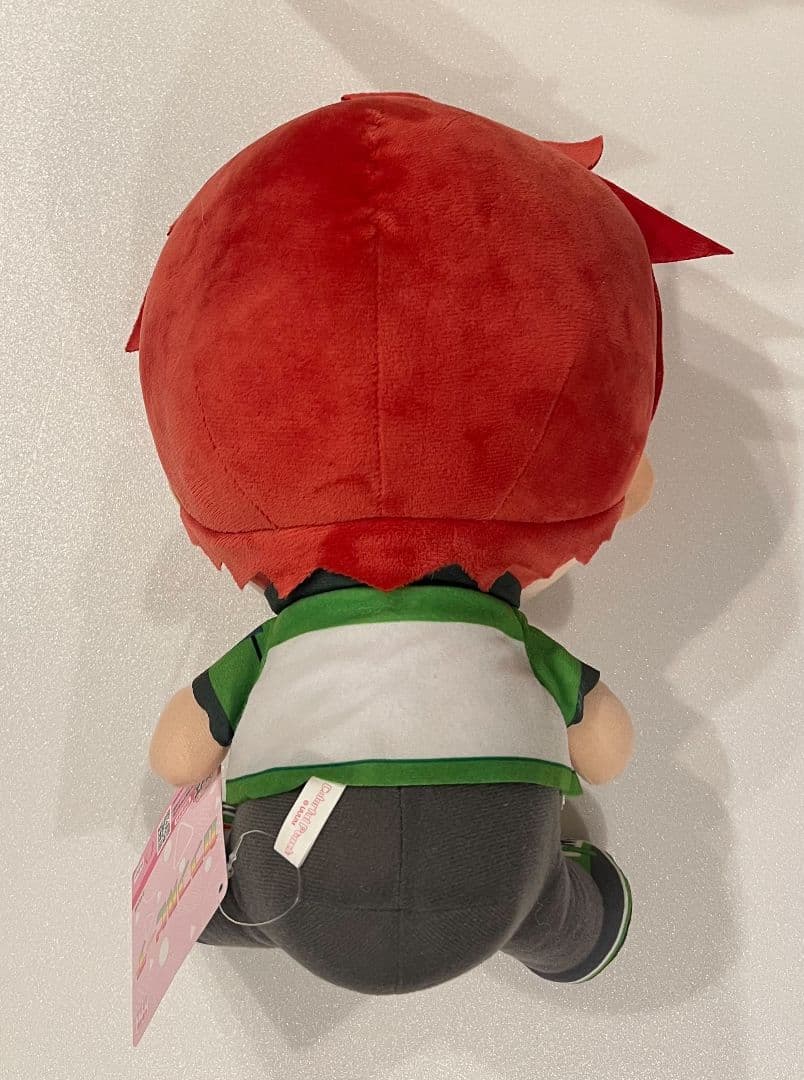 カラフルピーチ おおきなBIGぬいぐるみ シヴァ 2点セット