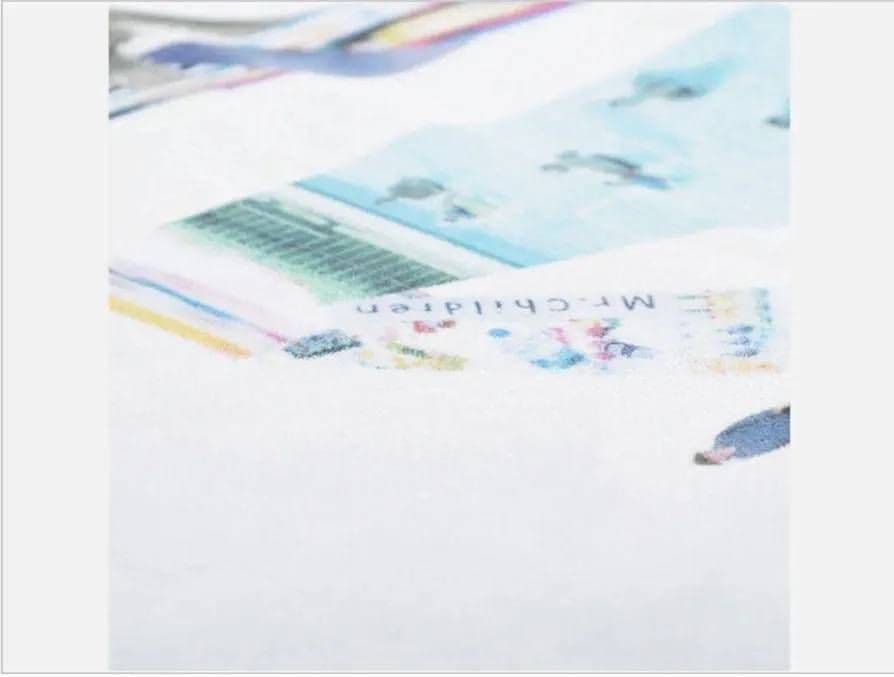 Dear Mr.Children chillmate グランピングマット