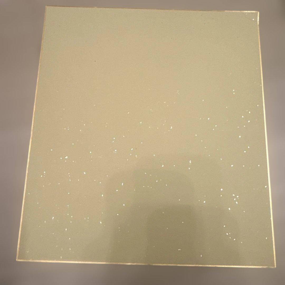 【激レア】中山美穂　落款付き直筆サイン色紙　ミポリン