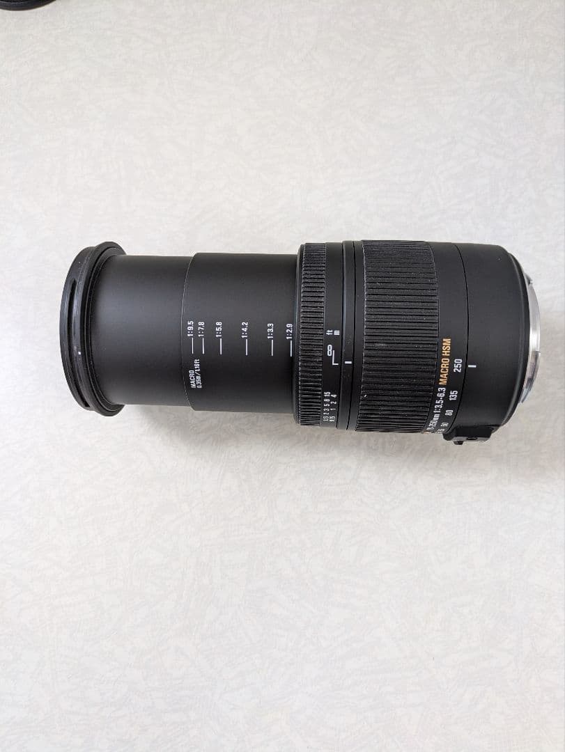 SIGMA 18-250mm F3.5-6.3 DC MACRO OS ズーム