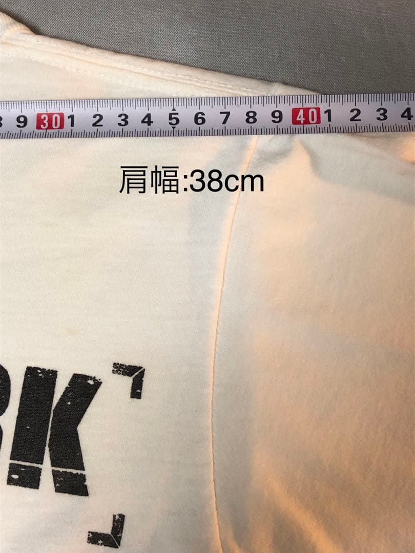 LINKIN PARK リンキン・パーク アーティストTシャツ USED