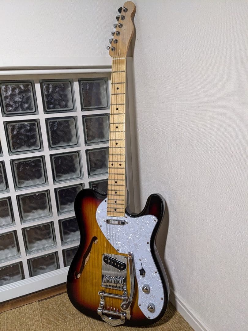 SX Telecaster Thinline (改造)