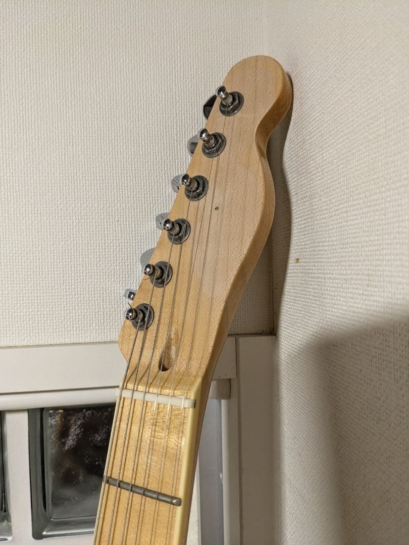SX Telecaster Thinline (改造)