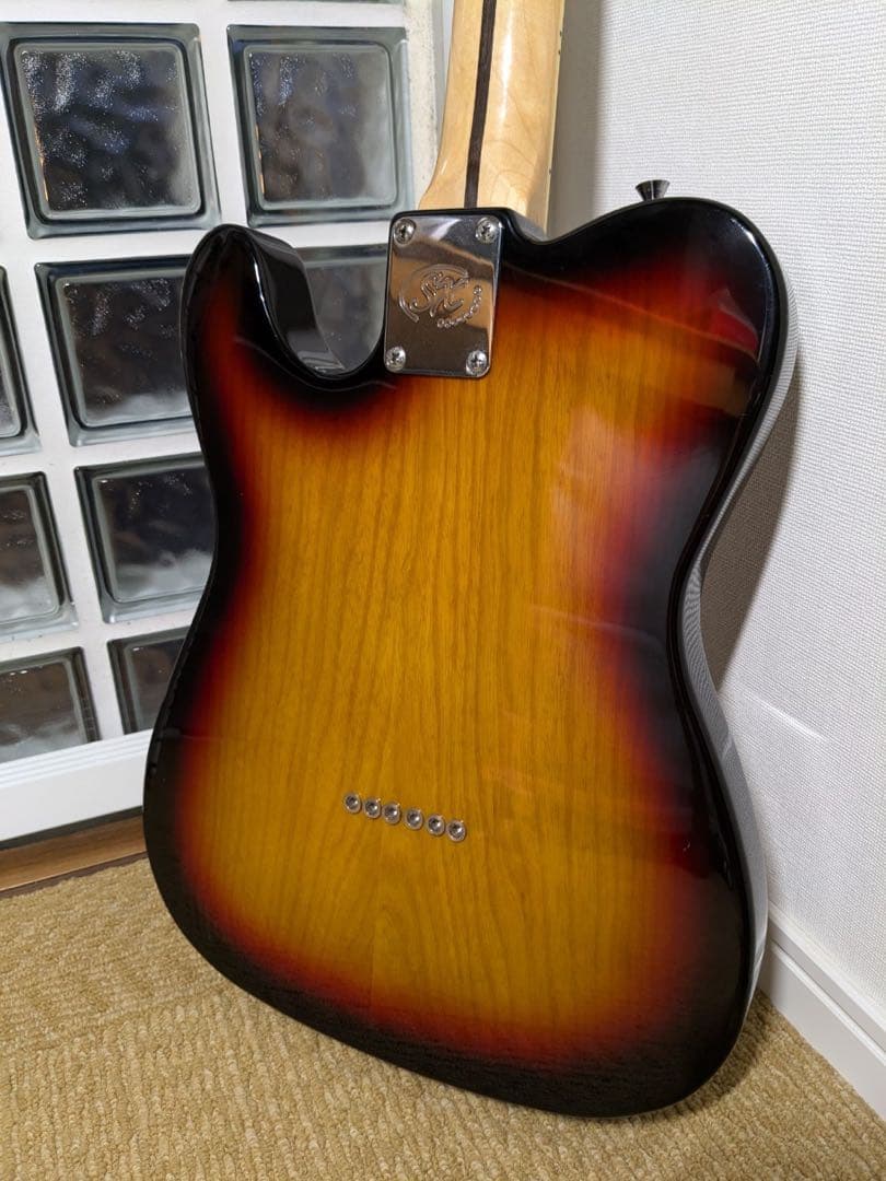 SX Telecaster Thinline (改造)