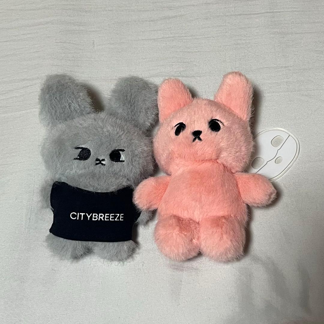 ドヨン nct ぬいぐるみ キーホルダー citybreeze biodance - メルカリ
