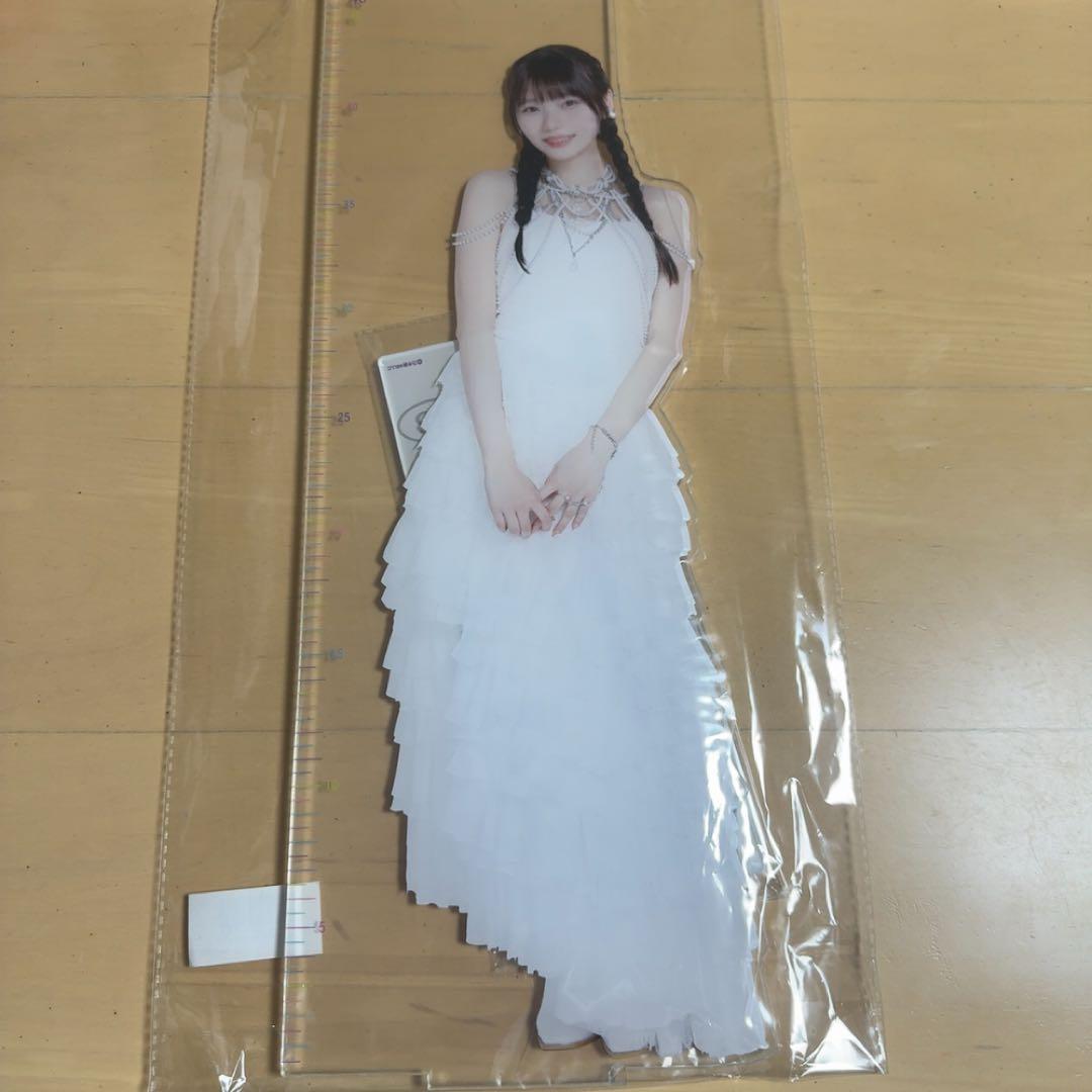 乃木坂46 lucky bag 2026 アクリルスタンド 岡本姫奈 - メルカリ