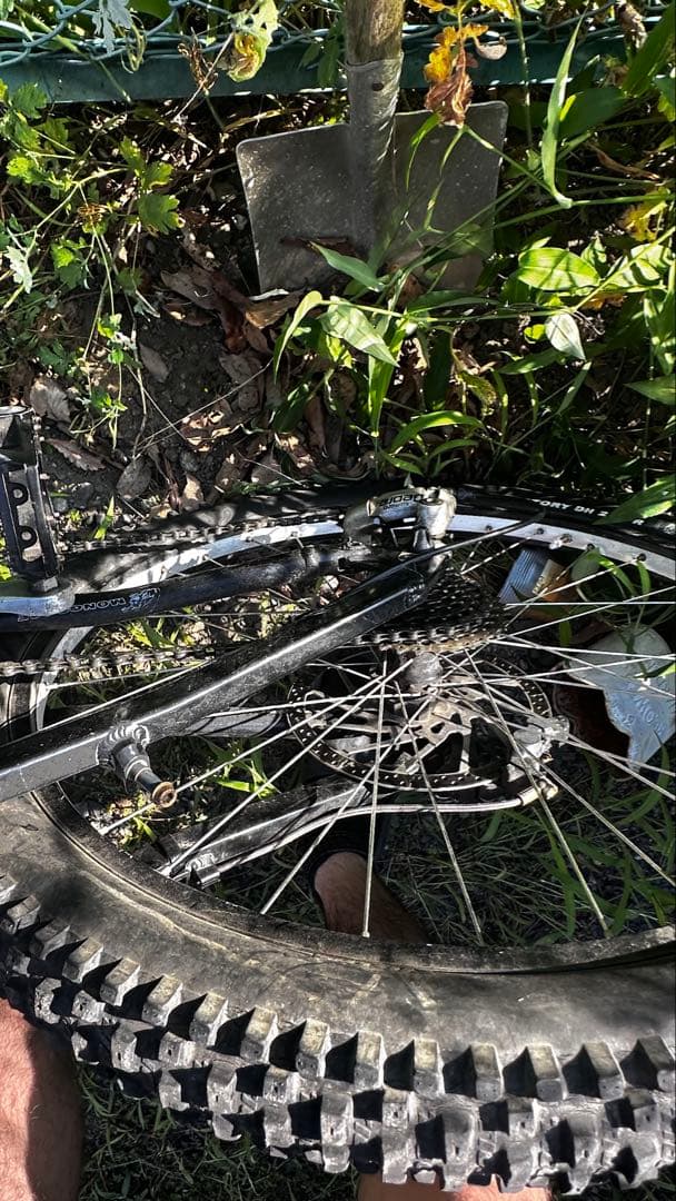 MONGOOSE PRO 20thアニバーサリーモデルダウンヒルバイク