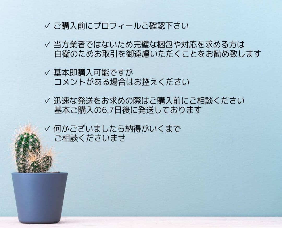 新テニスの王子様　ビッグホロ缶バッジ サマバレ 不二周助