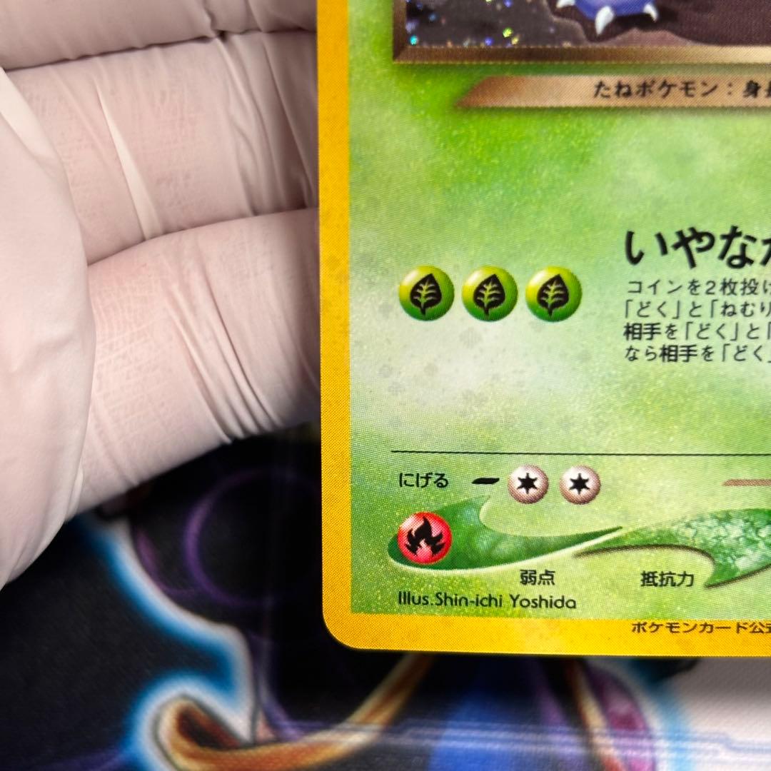 美品-極美品】旧裏わるいフシギバナ LV.37GBプロモ No.003 - メルカリ