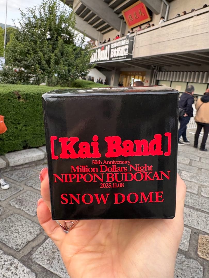 甲斐バンド　スノードーム　コンサートVIP特典