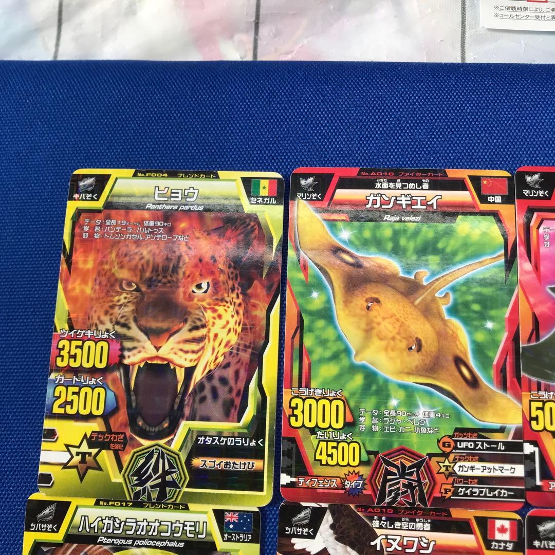 グレートアニマルカイザーカード11枚のセット - メルカリ