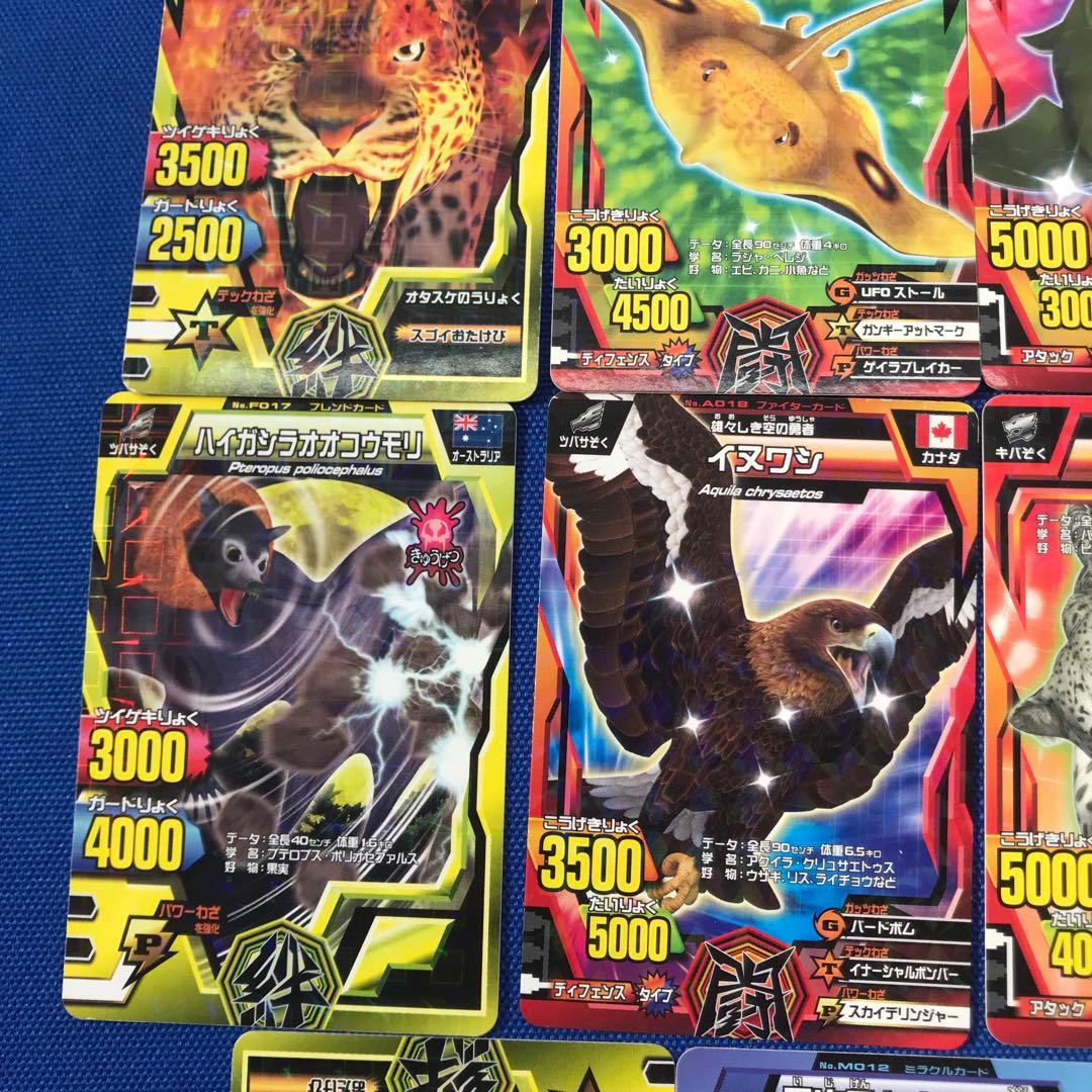 グレートアニマルカイザーカード11枚のセット - メルカリ