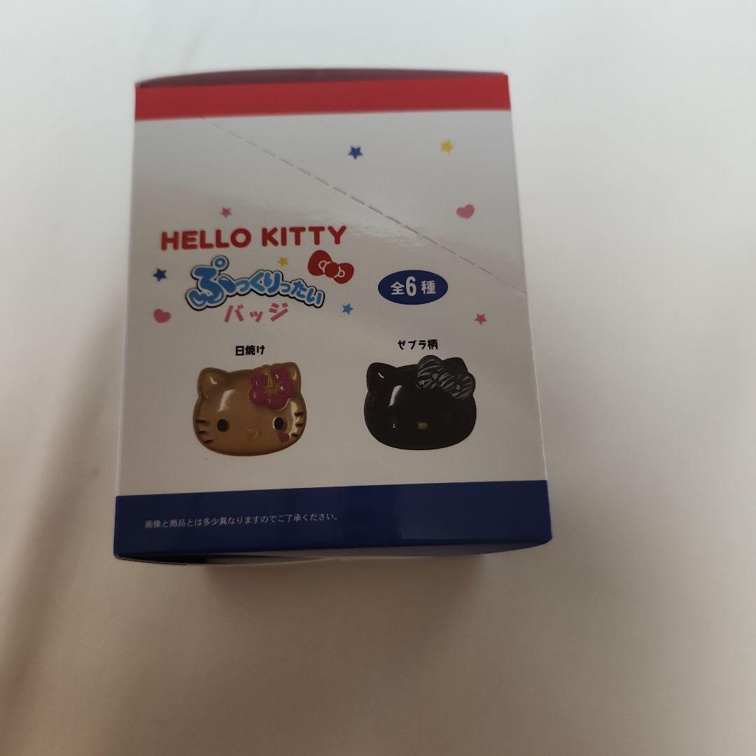 サンリオ　ぷっくりったい　バッジ