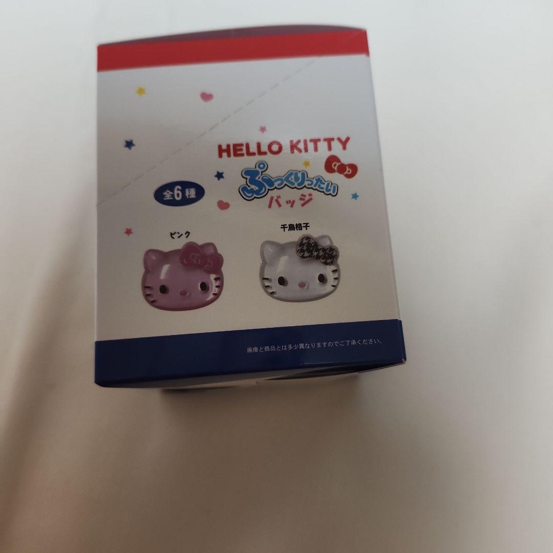 サンリオ　ぷっくりったい　バッジ