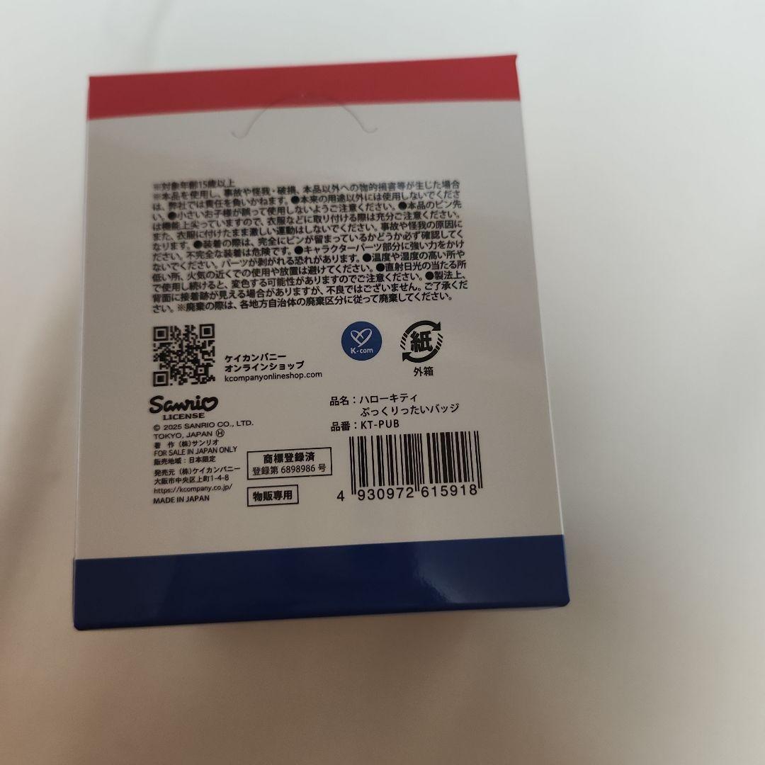 サンリオ　ぷっくりったい　バッジ