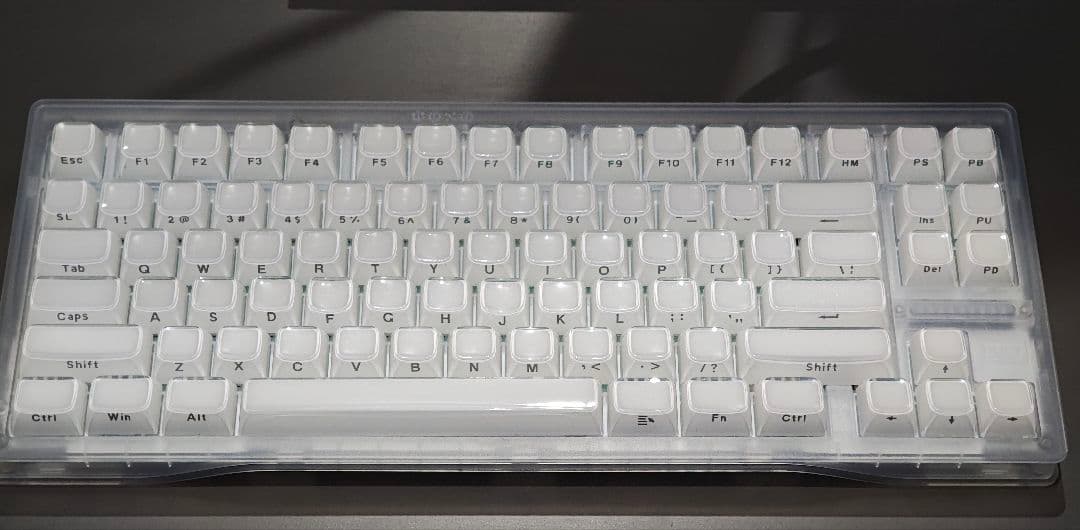 美品】Wooting 80HE カスタマイズ品 ラピッドトリガー対応キーボード