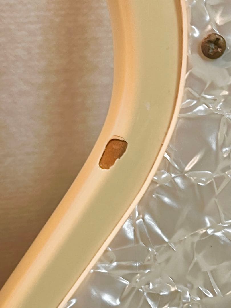 ギター Godin Radiator