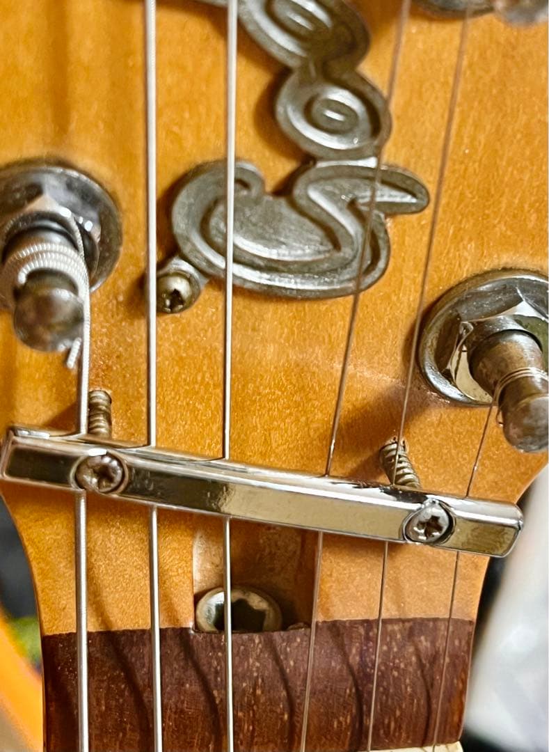 ギター Godin Radiator