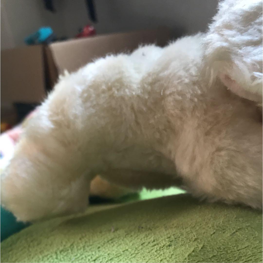 犬のぬいぐるみ