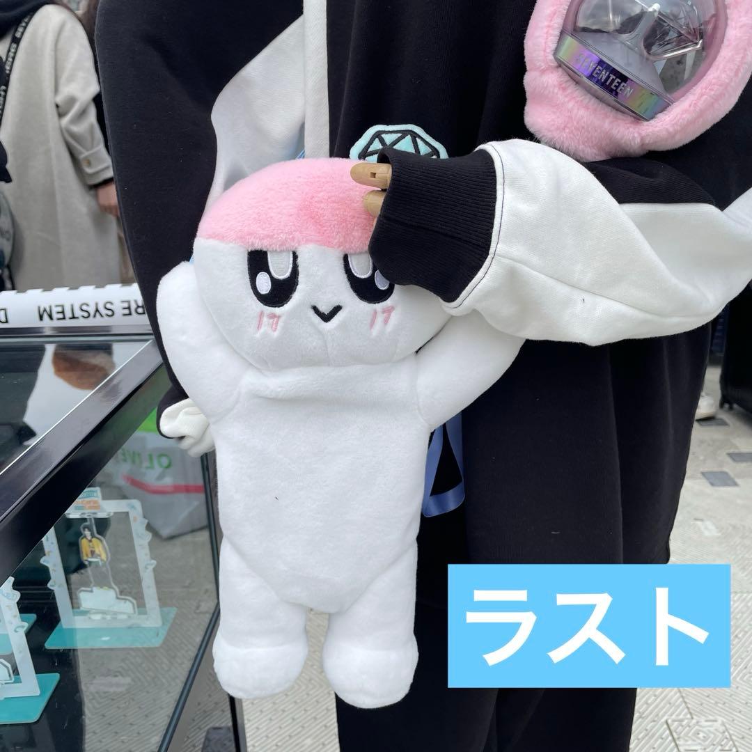 seventeen セブチ ペンミ ボンボンイ ペンライト ケース バッグ - メルカリ