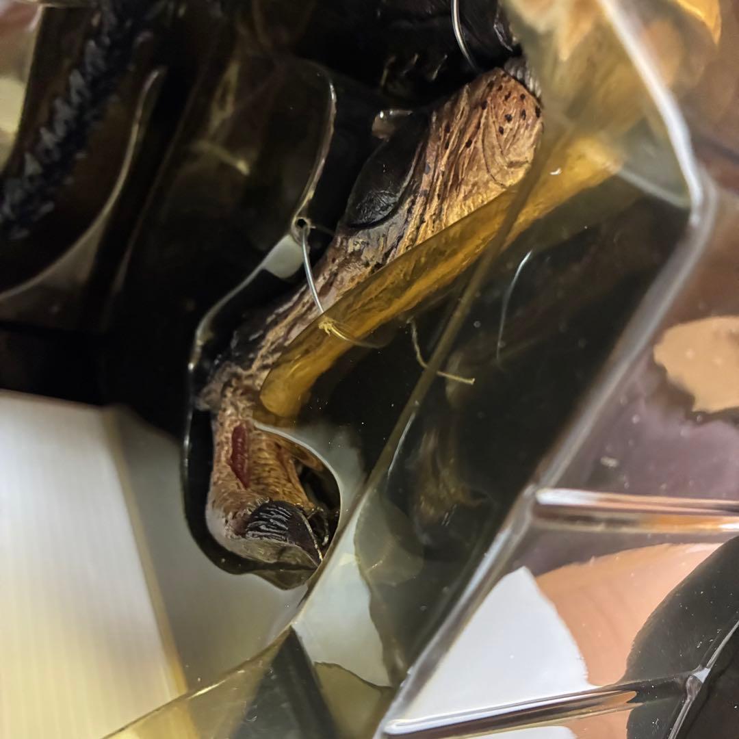 AVP2 エイリアンズVSプレデター　完全版　コレクターズBOX プレデリアン