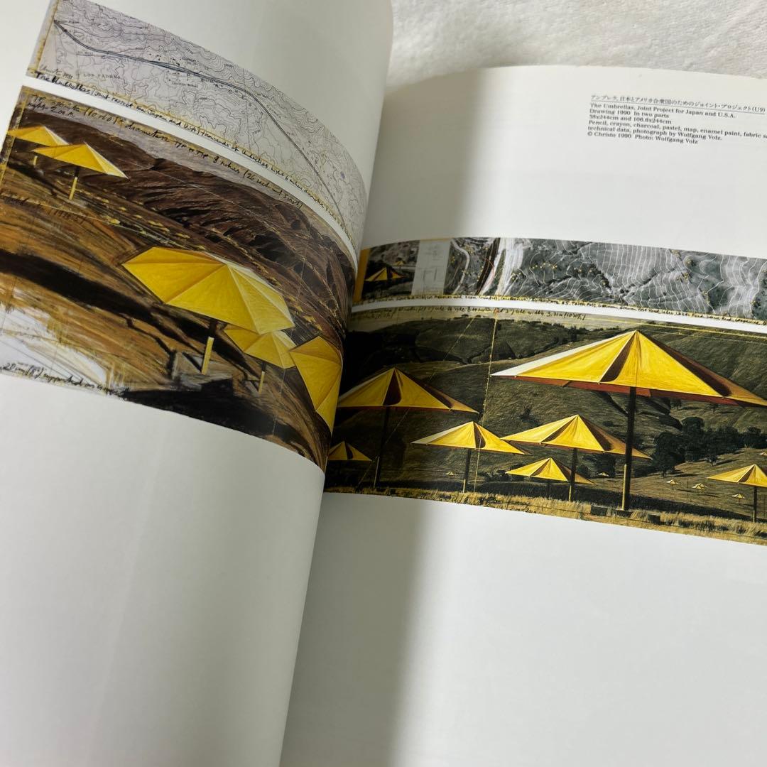 ヴァレーカーテンの全貌とアンブレラ・プロジェクトのための