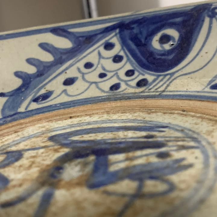 安南 染付 呉須魚紋皿 飾皿 青華 絵皿 古玩 唐物