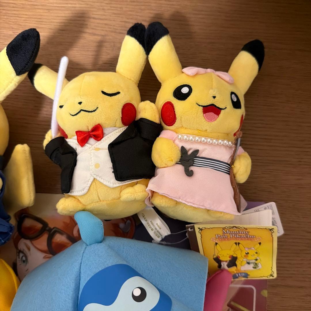 ぬいぐるみ シーズン ピカチュウ　イーブイ 冬　マンスリーピカチュウ　まとめ売り