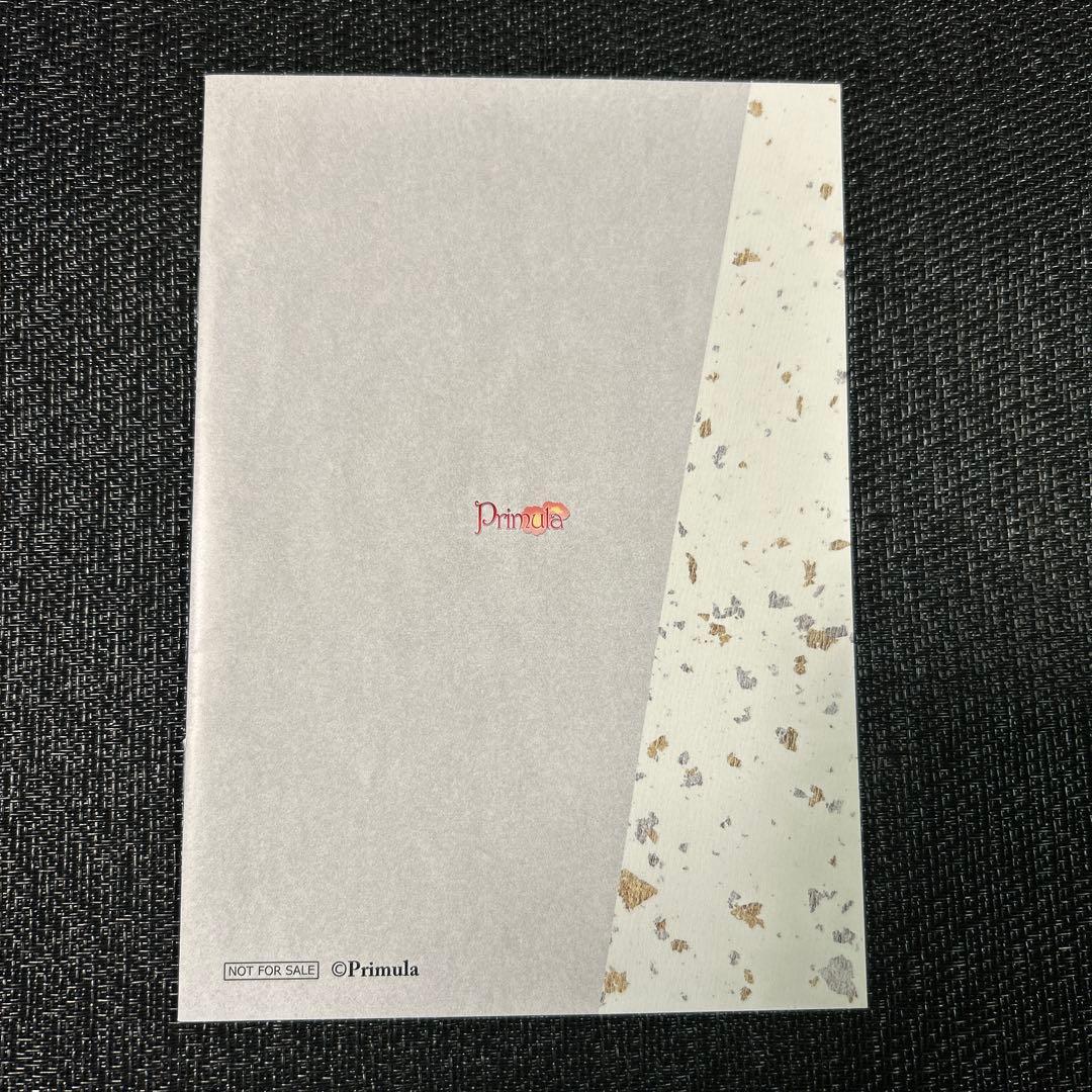 戦国添い寝シリーズ ステラワース連動購入特典冊子　ショートストーリー　明智光秀他