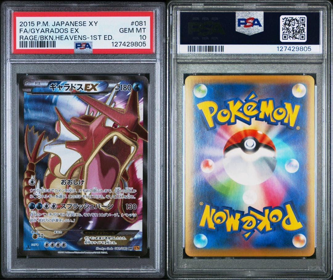 【PSA10】ギャラドスEX SR XY9 破天の怒り 081/080