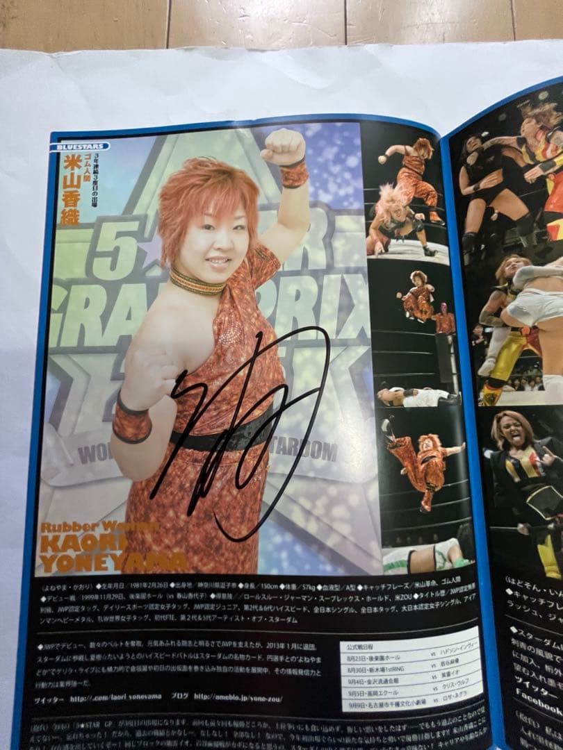 スターダム観戦ガイドブック 紫雷イオ、岩谷麻優、サンダーロック