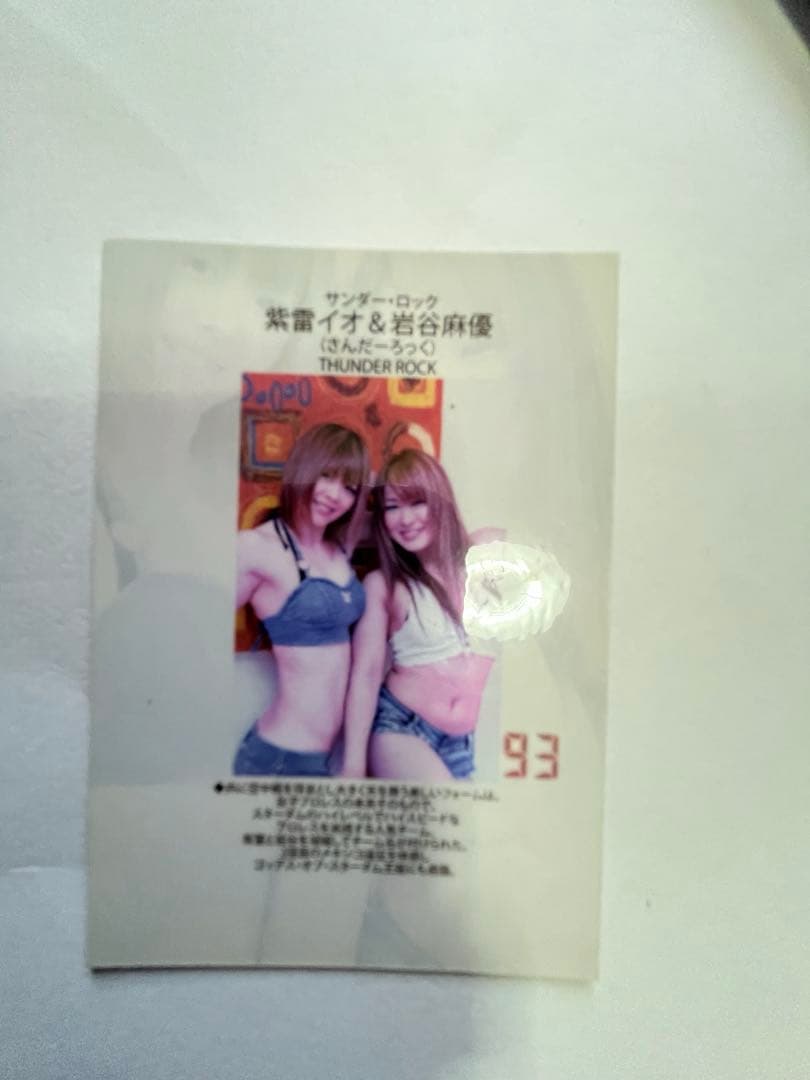 スターダム観戦ガイドブック 紫雷イオ、岩谷麻優、サンダーロック