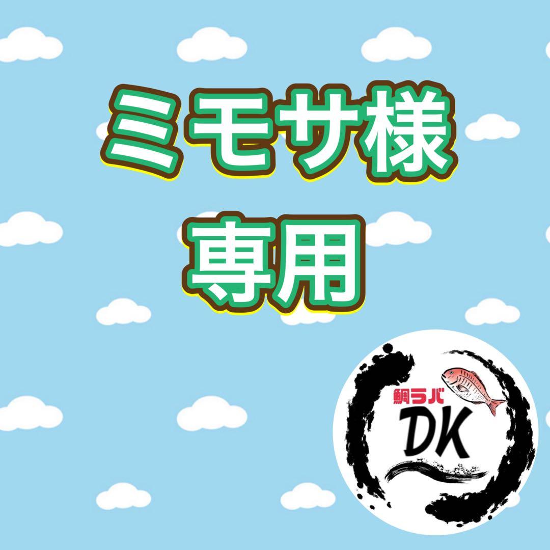 プレーン60g 80g 100g各2個計6個　タングステン　タイラバ　専用出品 楽天市場】タイラバ タングステン 100g TGプレーン 鯛ラバ 100