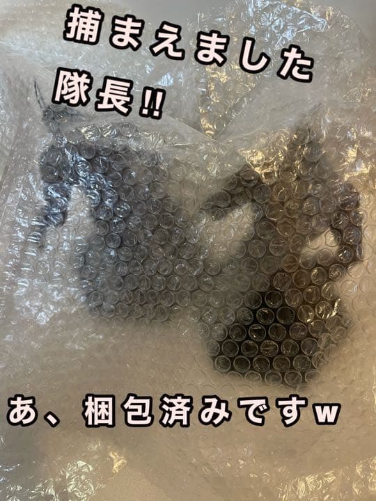 売却済 テラフォーマーズ ゴキブリ ジョージ - メルカリ