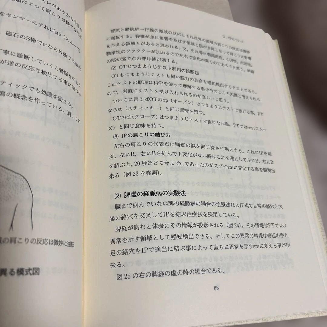 漢方治療原論 -入江FTによる診断と治療-