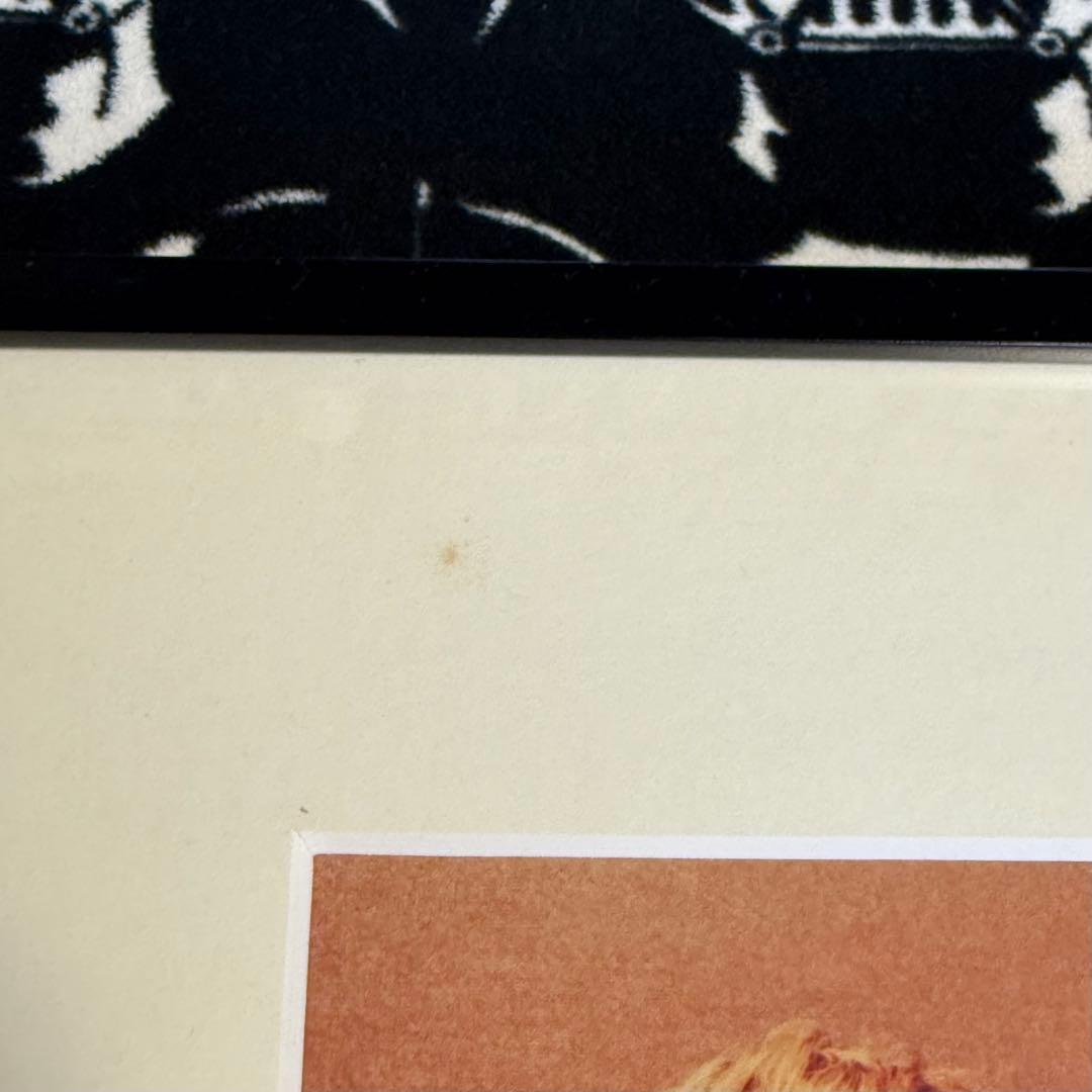 久保憲司 写真 「カート・コバーン & コートニー・ラブ」 銀塩プリント 額装