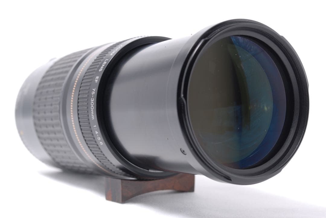 超望遠【Canon EF 75-300mm F:4-5.6 USM】ズームレンズ