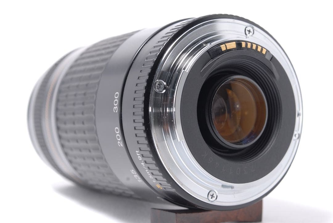 超望遠【Canon EF 75-300mm F:4-5.6 USM】ズームレンズ