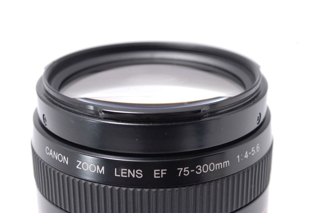 超望遠【Canon EF 75-300mm F:4-5.6 USM】ズームレンズ
