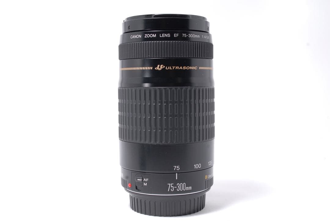 超望遠【Canon EF 75-300mm F:4-5.6 USM】ズームレンズ