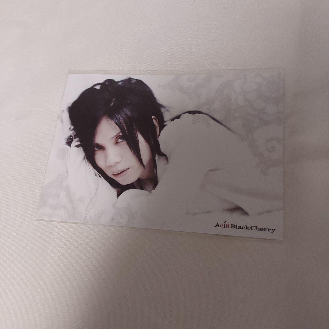 貴重　Acid Black Cherry　QEDセット