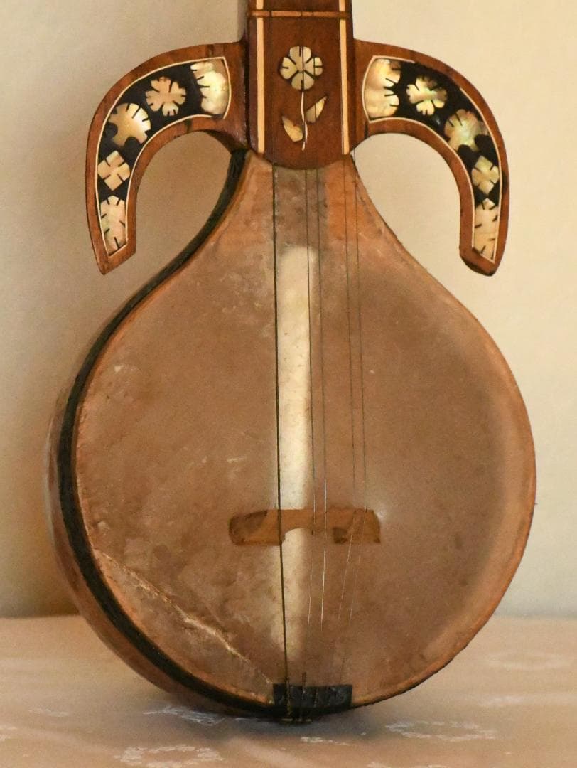 ウズベキスタンの民族弦楽器ラワープレワープ - メルカリ