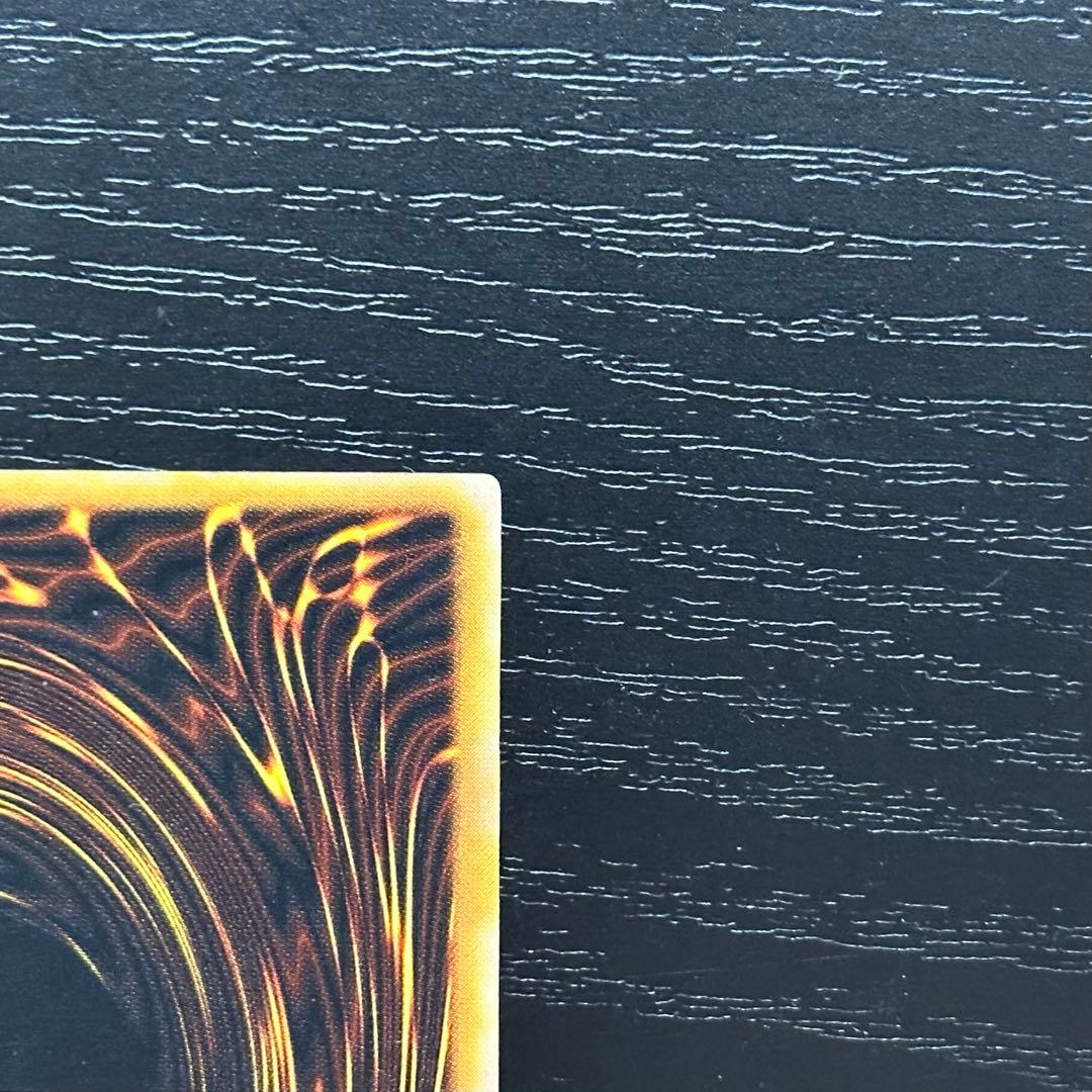 遊戯王 ダークネクロフィア レリーフ