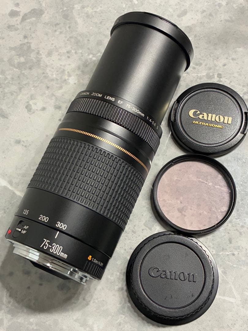 ⭐️美品⭐️Canon EF 75-300mm F/4-5.6 II USM